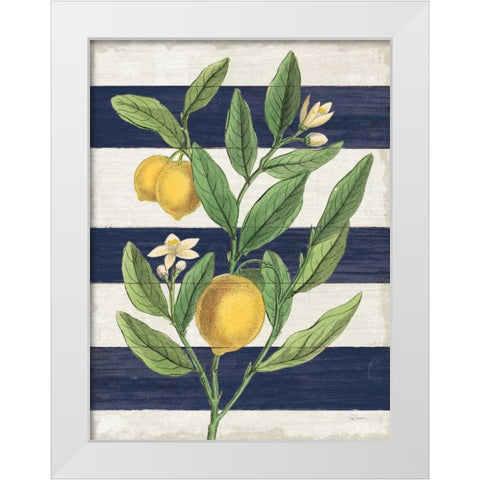 Classic Citrus V Navy Shiplap NW White Modern Wood Framed Art Print by Schlabach, Sue
