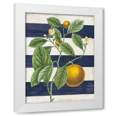 Classic Citrus VI Navy Shiplap NW White Modern Wood Framed Art Print by Schlabach, Sue