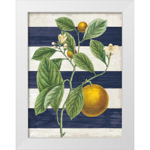 Classic Citrus VI Navy Shiplap NW White Modern Wood Framed Art Print by Schlabach, Sue