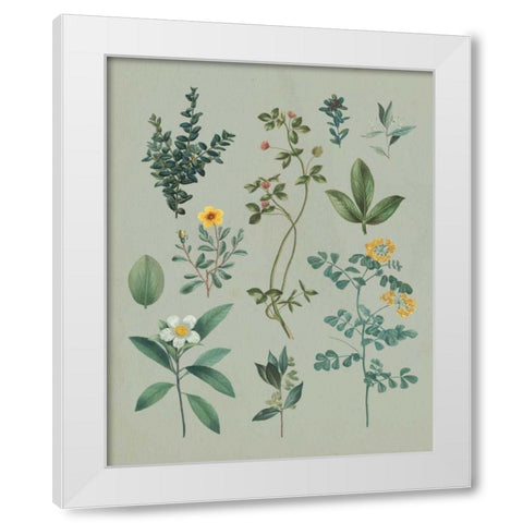 Victorian Garden V White Modern Wood Framed Art Print by Wild Apple Portfolio