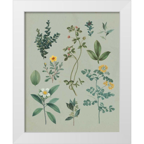 Victorian Garden V White Modern Wood Framed Art Print by Wild Apple Portfolio