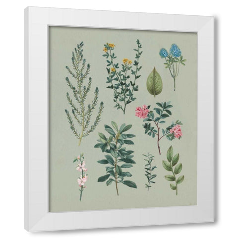Victorian Garden VI White Modern Wood Framed Art Print by Wild Apple Portfolio