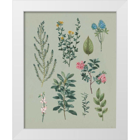 Victorian Garden VI White Modern Wood Framed Art Print by Wild Apple Portfolio