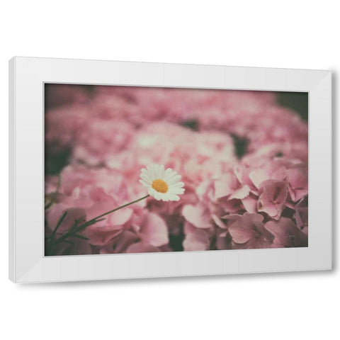 Daisy Dreams White Modern Wood Framed Art Print by Aledanda