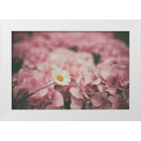 Daisy Dreams White Modern Wood Framed Art Print by Aledanda