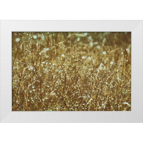 Dew on Grasses White Modern Wood Framed Art Print by Aledanda