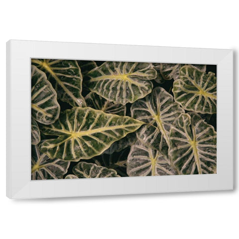 Greenery Abounds White Modern Wood Framed Art Print by Aledanda