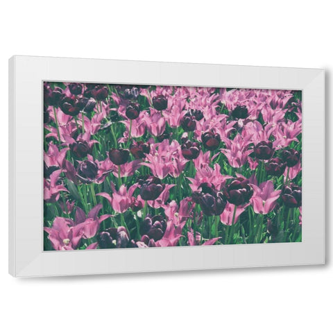 Tulip Botanical White Modern Wood Framed Art Print by Aledanda