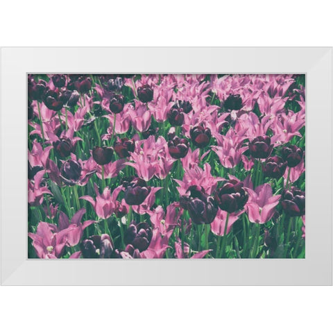 Tulip Botanical White Modern Wood Framed Art Print by Aledanda