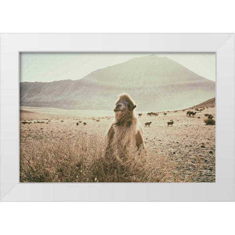 Desert Camel White Modern Wood Framed Art Print by Aledanda