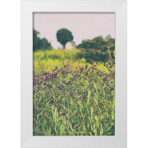 Roadside Flowers White Modern Wood Framed Art Print by Aledanda