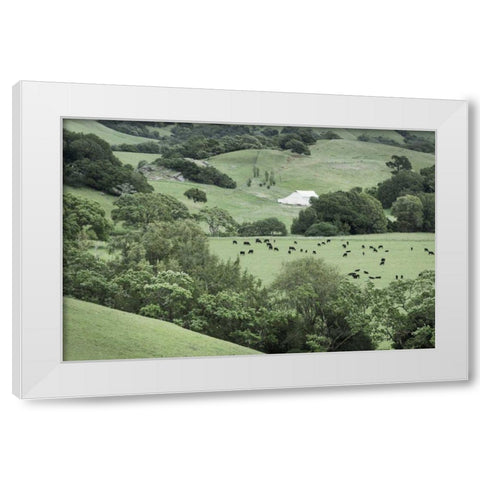 Marin California Ranch White Modern Wood Framed Art Print by Majchrowicz, Alan
