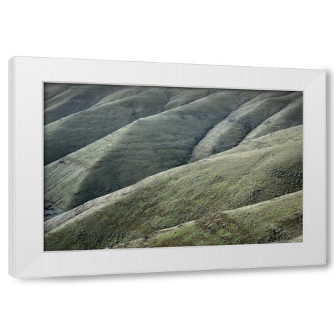 Columbia Plateau Oregon White Modern Wood Framed Art Print by Majchrowicz, Alan