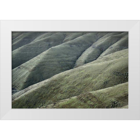 Columbia Plateau Oregon White Modern Wood Framed Art Print by Majchrowicz, Alan