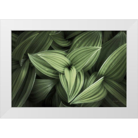 Corn Lily II White Modern Wood Framed Art Print by Majchrowicz, Alan