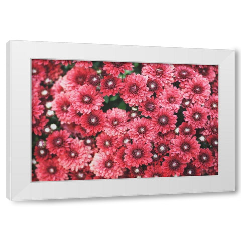 Autumn Flowers I White Modern Wood Framed Art Print by Marshall, Laura