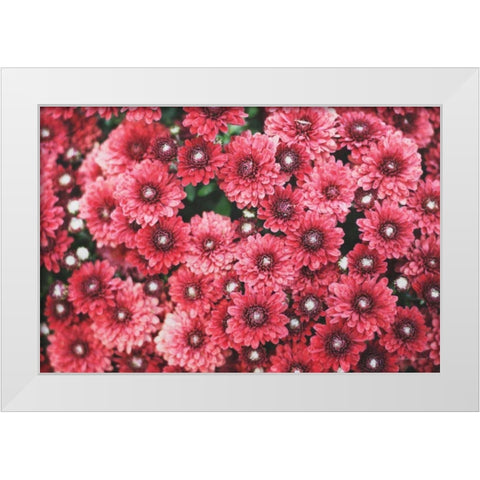 Autumn Flowers I White Modern Wood Framed Art Print by Marshall, Laura
