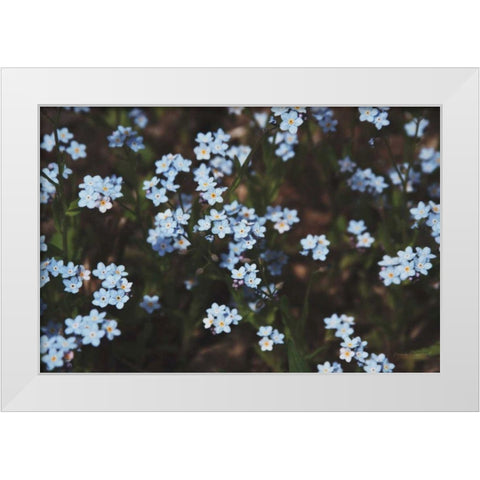 Forget Me Nots I White Modern Wood Framed Art Print by Marshall, Laura