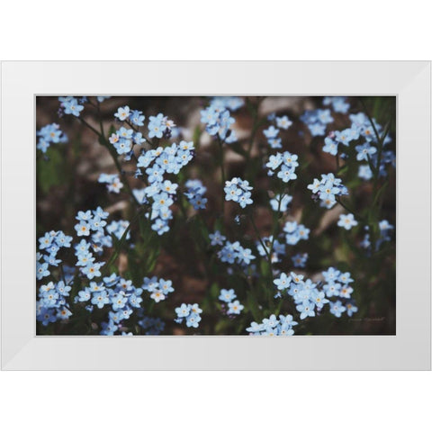 Forget Me Nots II White Modern Wood Framed Art Print by Marshall, Laura