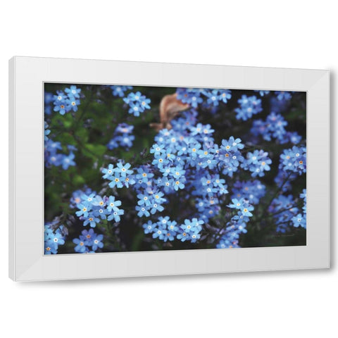 Forget Me Nots III White Modern Wood Framed Art Print by Marshall, Laura
