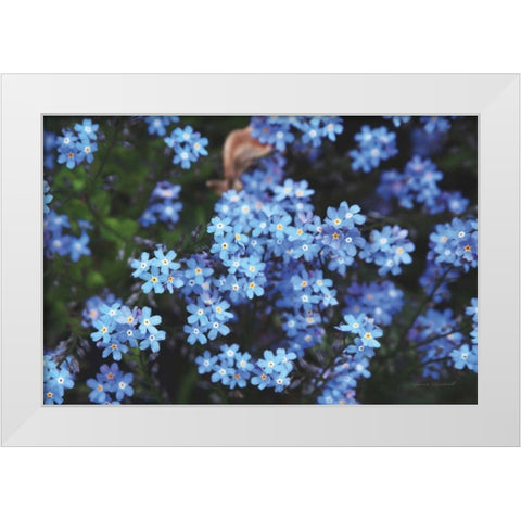 Forget Me Nots III White Modern Wood Framed Art Print by Marshall, Laura