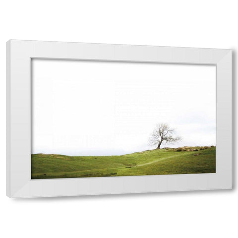 Dales Way I White Modern Wood Framed Art Print by Marshall, Laura
