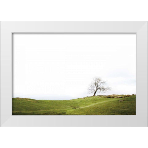 Dales Way I White Modern Wood Framed Art Print by Marshall, Laura