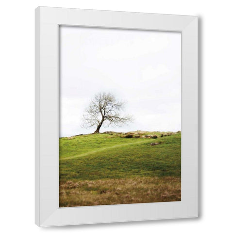 Dales Way II White Modern Wood Framed Art Print by Marshall, Laura