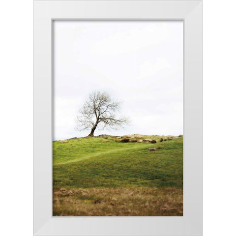 Dales Way II White Modern Wood Framed Art Print by Marshall, Laura