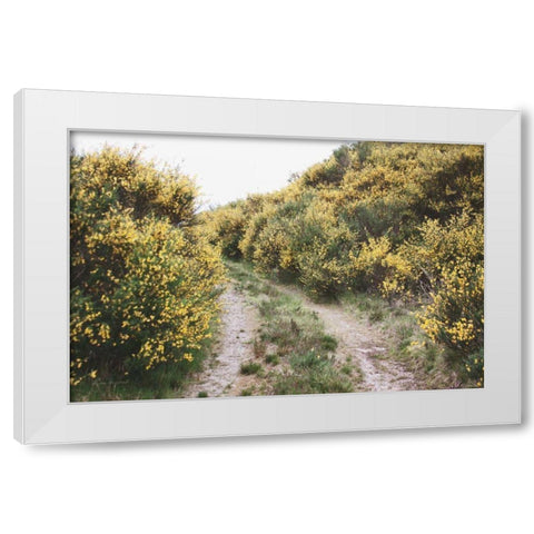 Scottish Highlands II White Modern Wood Framed Art Print by Marshall, Laura