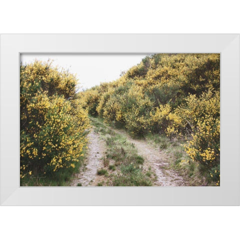 Scottish Highlands II White Modern Wood Framed Art Print by Marshall, Laura