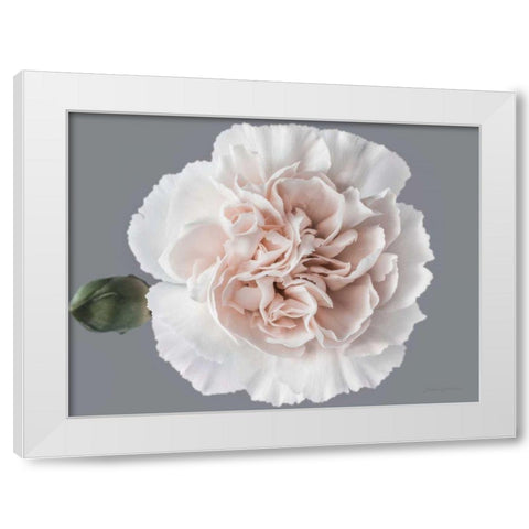 Blush Carnation White Modern Wood Framed Art Print by Catterall, Elise