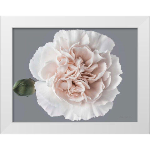 Blush Carnation White Modern Wood Framed Art Print by Catterall, Elise