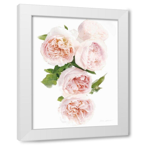 David Austin Cascade White Modern Wood Framed Art Print by Catterall, Elise