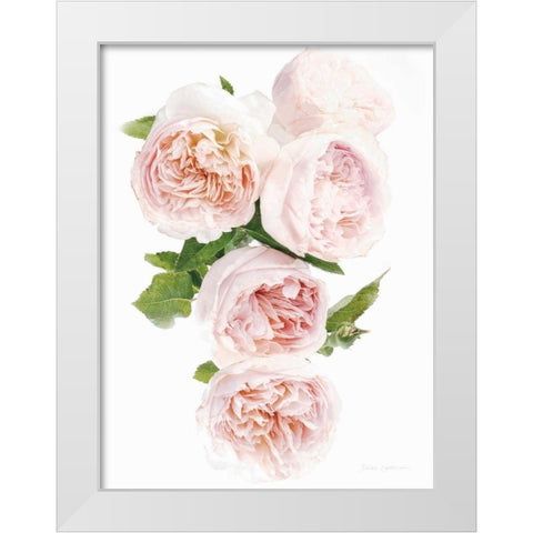 David Austin Cascade White Modern Wood Framed Art Print by Catterall, Elise