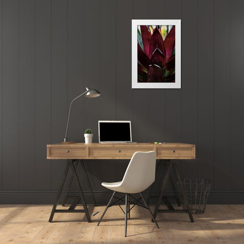 Succulent Detail I White Modern Wood Framed Art Print by Catterall, Elise