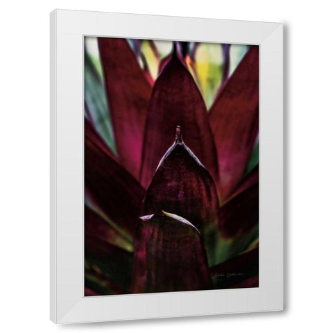 Succulent Detail I White Modern Wood Framed Art Print by Catterall, Elise