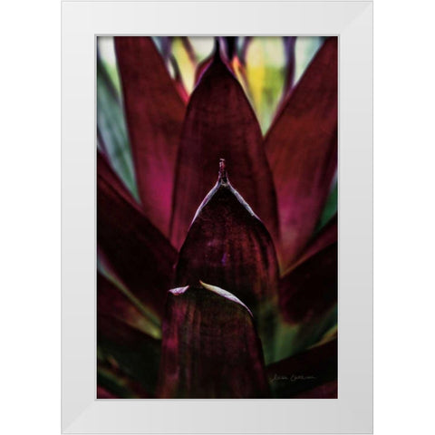 Succulent Detail I White Modern Wood Framed Art Print by Catterall, Elise