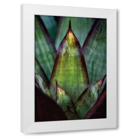 Succulent Detail II White Modern Wood Framed Art Print by Catterall, Elise