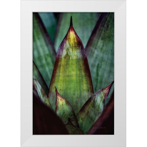 Succulent Detail II White Modern Wood Framed Art Print by Catterall, Elise