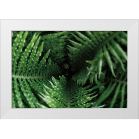 Fern Detail White Modern Wood Framed Art Print by Catterall, Elise