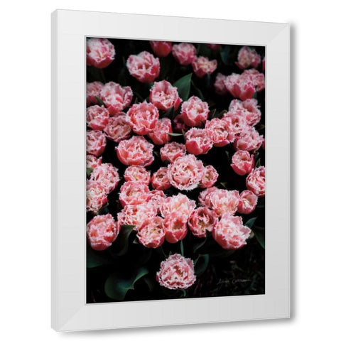 Fringed Tulips White Modern Wood Framed Art Print by Catterall, Elise