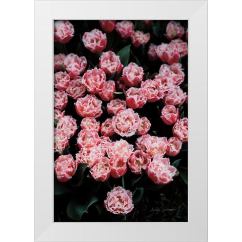 Fringed Tulips White Modern Wood Framed Art Print by Catterall, Elise