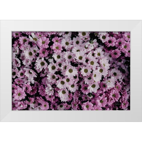 Pale Daisies White Modern Wood Framed Art Print by Catterall, Elise