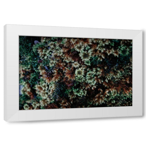 Moss Detail White Modern Wood Framed Art Print by Catterall, Elise