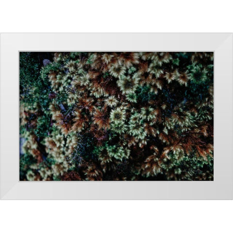 Moss Detail White Modern Wood Framed Art Print by Catterall, Elise
