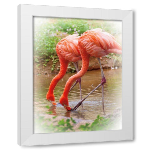 Two Flamingos White Modern Wood Framed Art Print by Van Swearingen, Debra