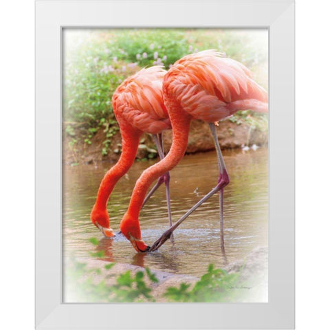 Two Flamingos White Modern Wood Framed Art Print by Van Swearingen, Debra