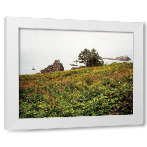 Oregon Coast White Modern Wood Framed Art Print by Van Swearingen, Debra