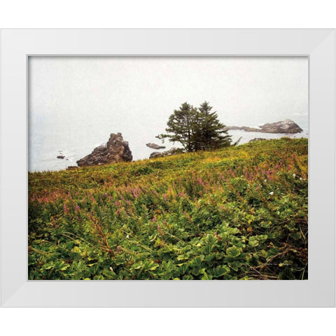 Oregon Coast White Modern Wood Framed Art Print by Van Swearingen, Debra